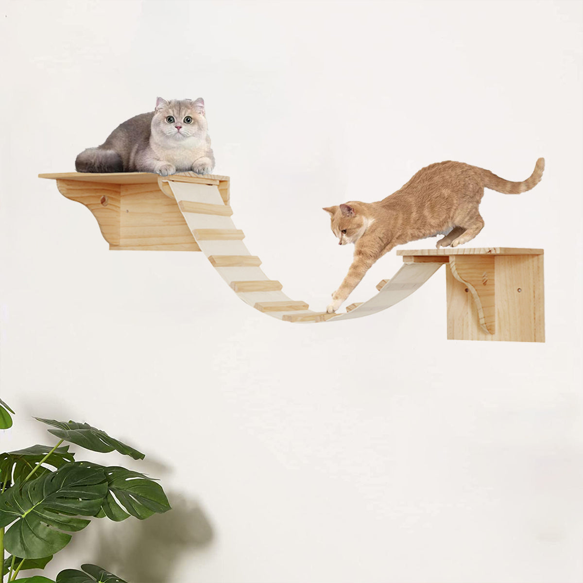 Cat Wall Climbing Shelves Wall-Mounted Furniture Set: 2 Shelves with 1 Bridge Ladder for Indoor Cats 